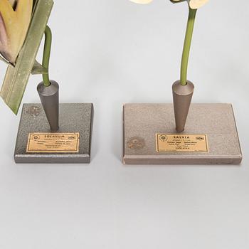 Robert Brendel & Carl Leopold Lohmeyer, A set of 4 educational materials / sculptures, "Botanic Flowers" by R. Bredel. Poland, turn of the 20th century.