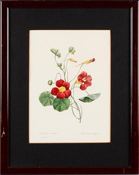 TAVLOR, 5 st, efter Redouté, tryck, 1900-talets andra hälft.