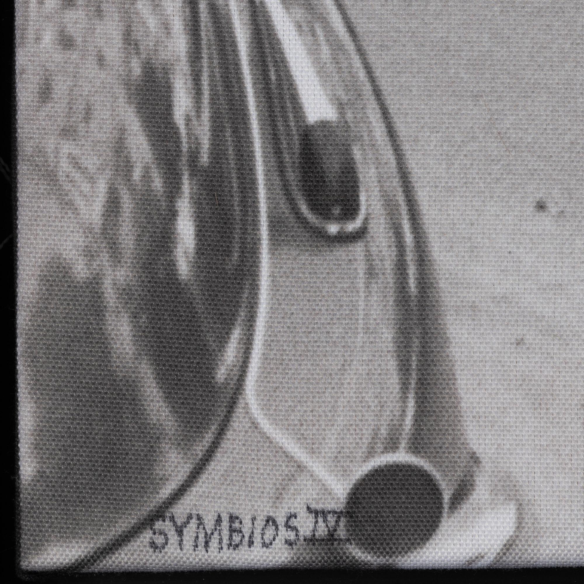 Carl Johan De Geer,  photo sublimation signed and dated 1959-2007. Numbered 1/3.
