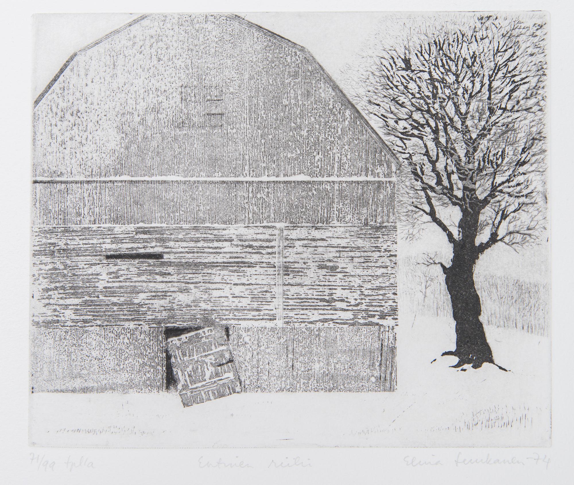 Taidegraafikot Kannatusjäsensalkku XII.