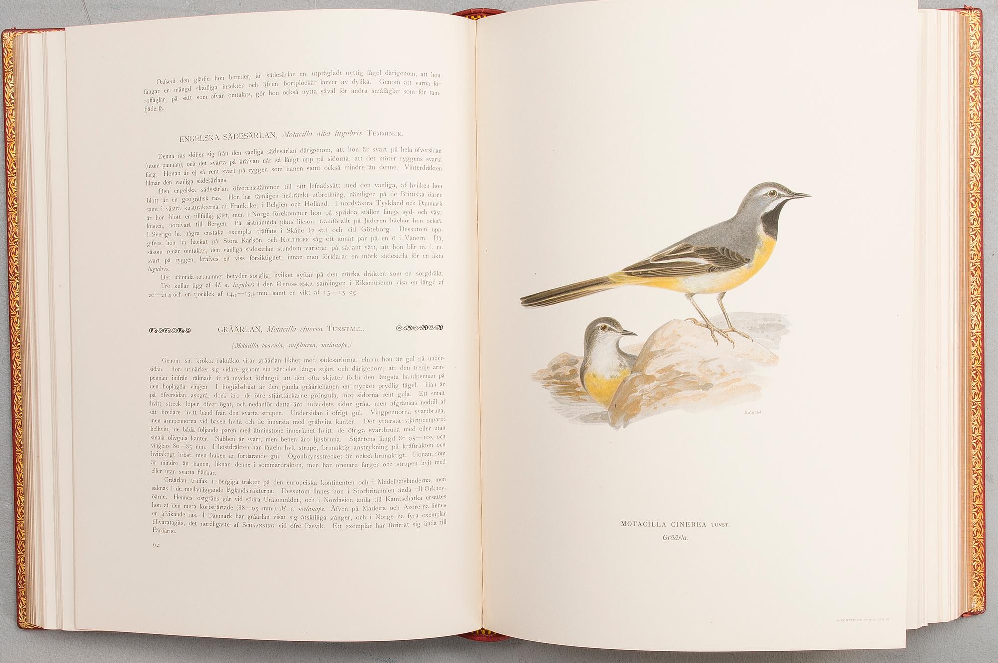 BOOK, 3 vol, "Svenska fåglar", von Wright, M,W & F, Hand coloured collectors edition, numbered, nr 5, 1925.