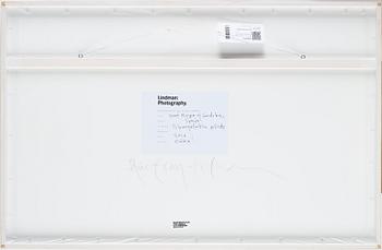 Åke E:son Lindman, Diptyk fotografi unik signerad a tergo.