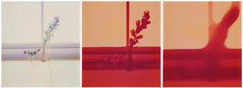 160. Uta Barth, "Untitled (06.11)".2006.