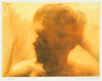 Lars Lerin, etching, signed, dated 2005, and numbered 1/3.