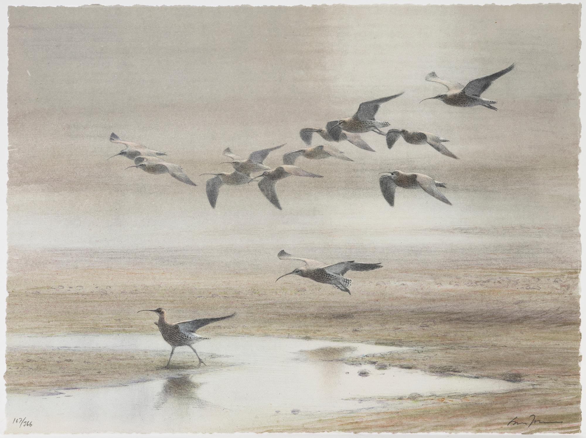 Lars Jonsson, portfölj "Dagrar", 2000,  med 12 färglitografier, signerade 167/366.