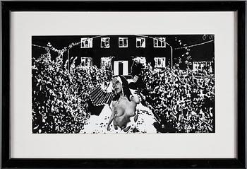 Jury Rupin · JURY RUPIN, fotografi.