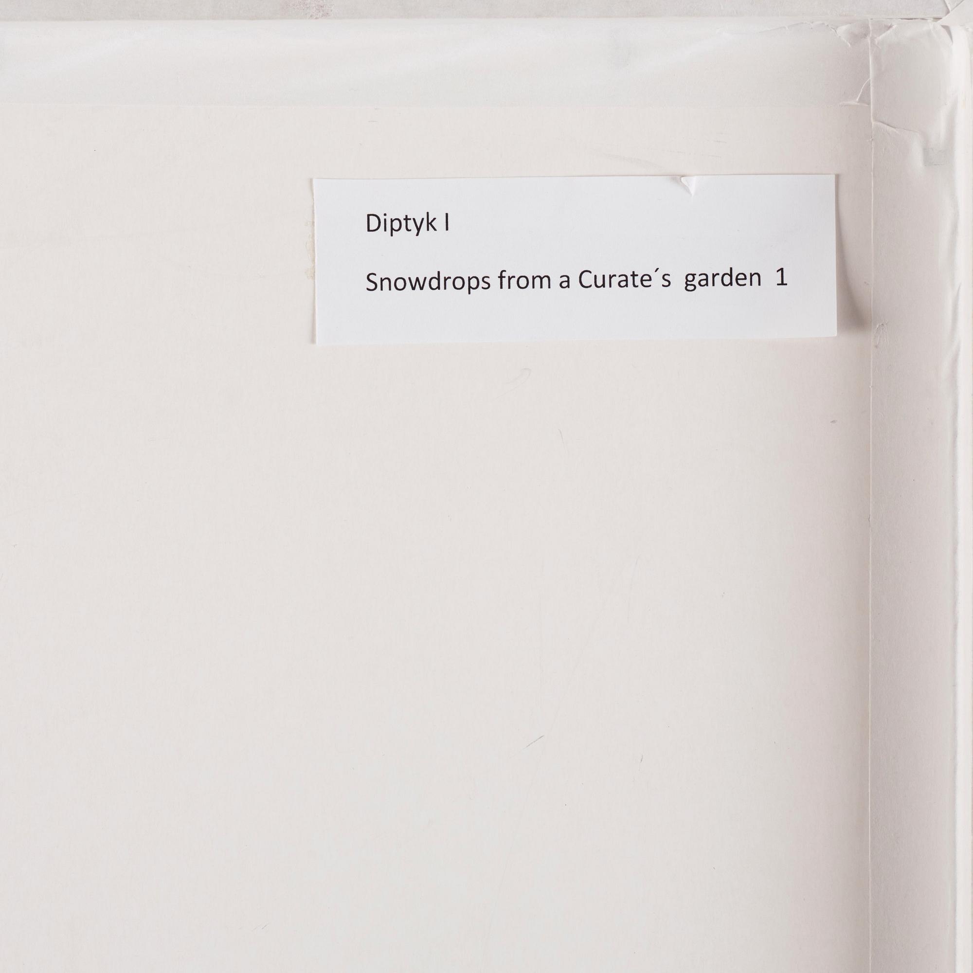 Fredrik Söderberg, 'Snowdrops from a Curate's Garden 1, The Hidden Landscape of the Subconscious 1'.