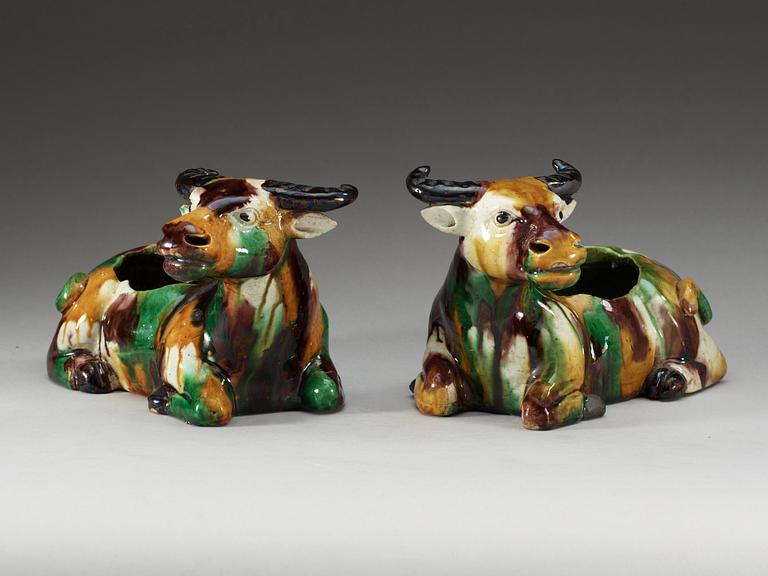 A pair of 'egg and spinach' glazed figures of reclining water buffalo's, Qing dynasty, Kangxi.