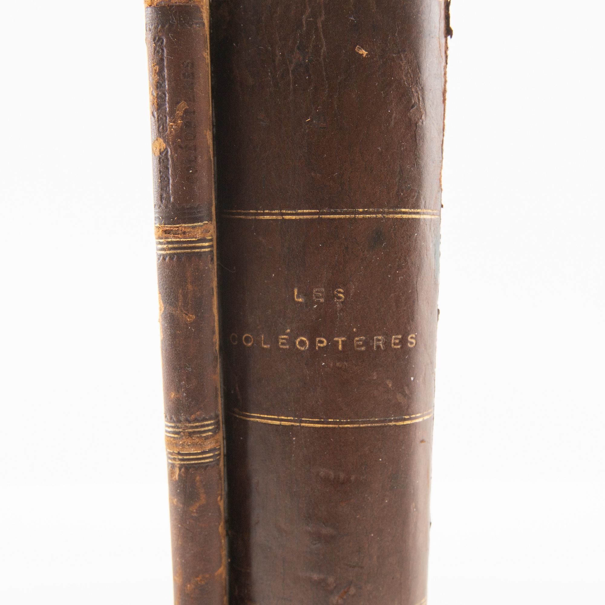 "Les Coléoptères..." & "Table Alphabetique .... Coléoptères", 2 volumes, Paris 1876 & 1875.
