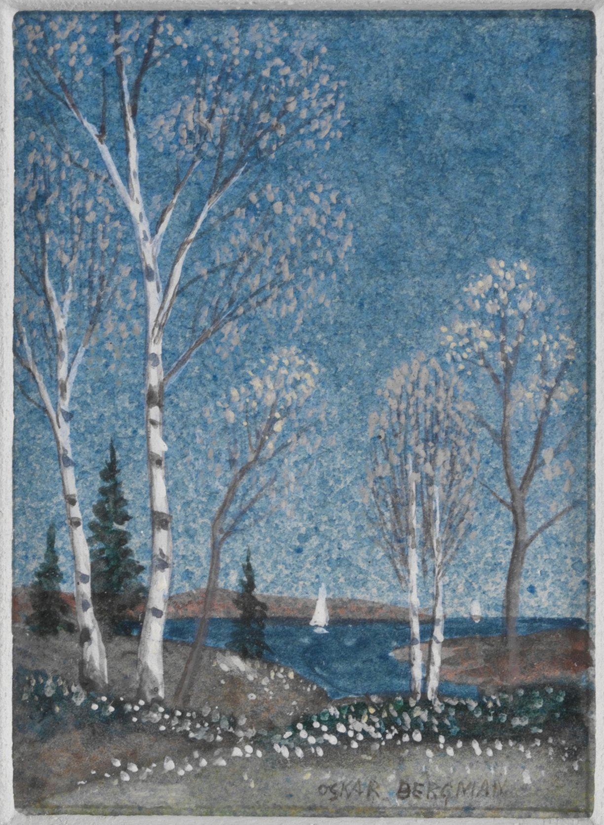 Oskar Bergman, Björkhagen.