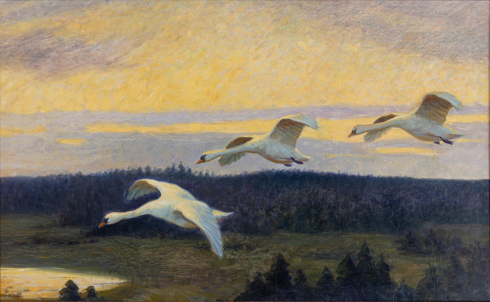 William Gislander, Swans.
