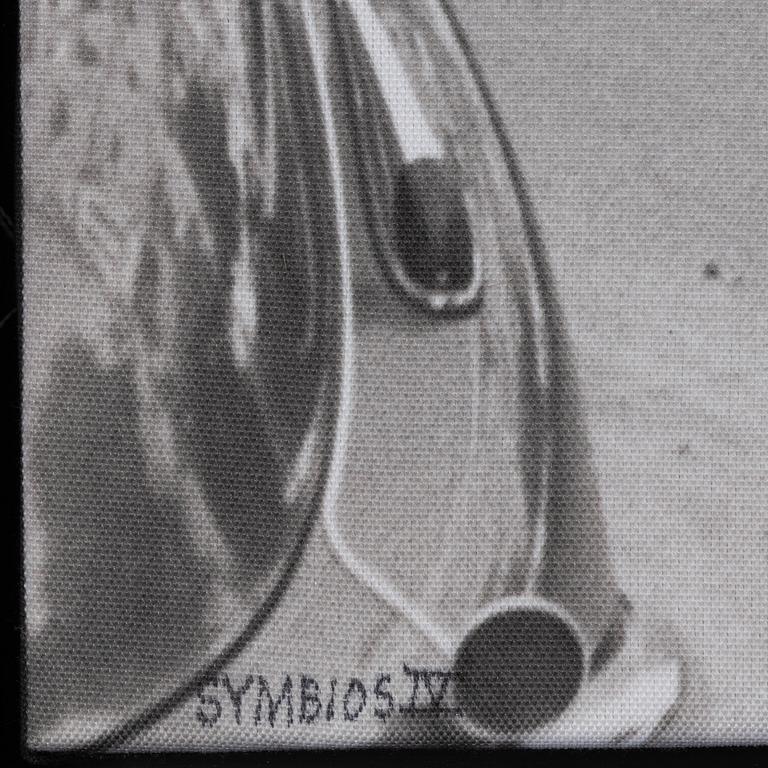 Carl Johan De Geer,  photo sublimation signed and dated 1959-2007. Numbered 1/3.