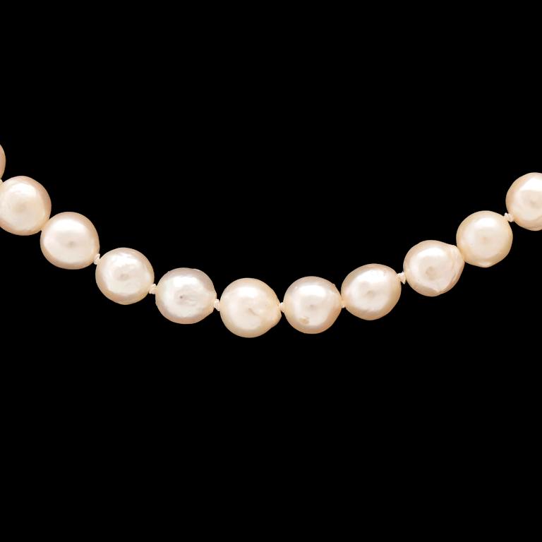 Necklace of cultured pearls with clasp in 18K white and red gold.