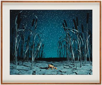 Helena Blomqvist, "Last Night for the Last Golden Frog", 2008.