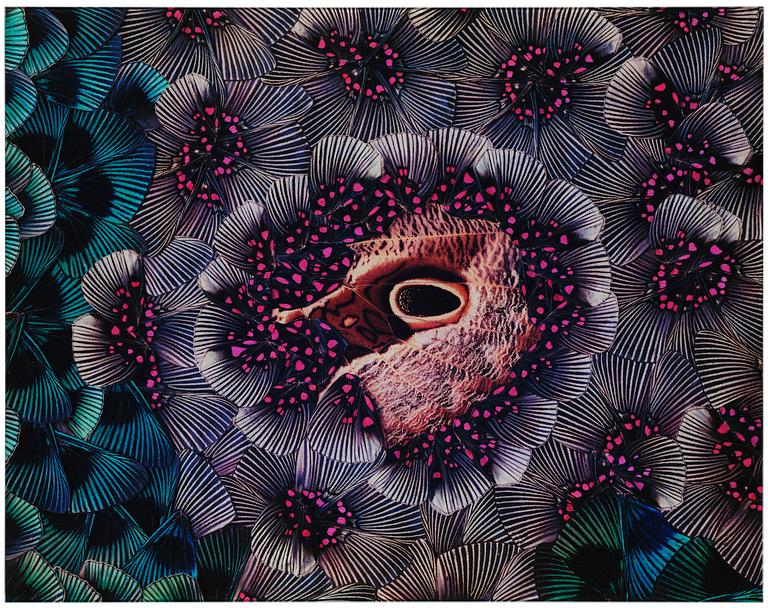 Nathalia Edenmont, "Ovary", 2015.