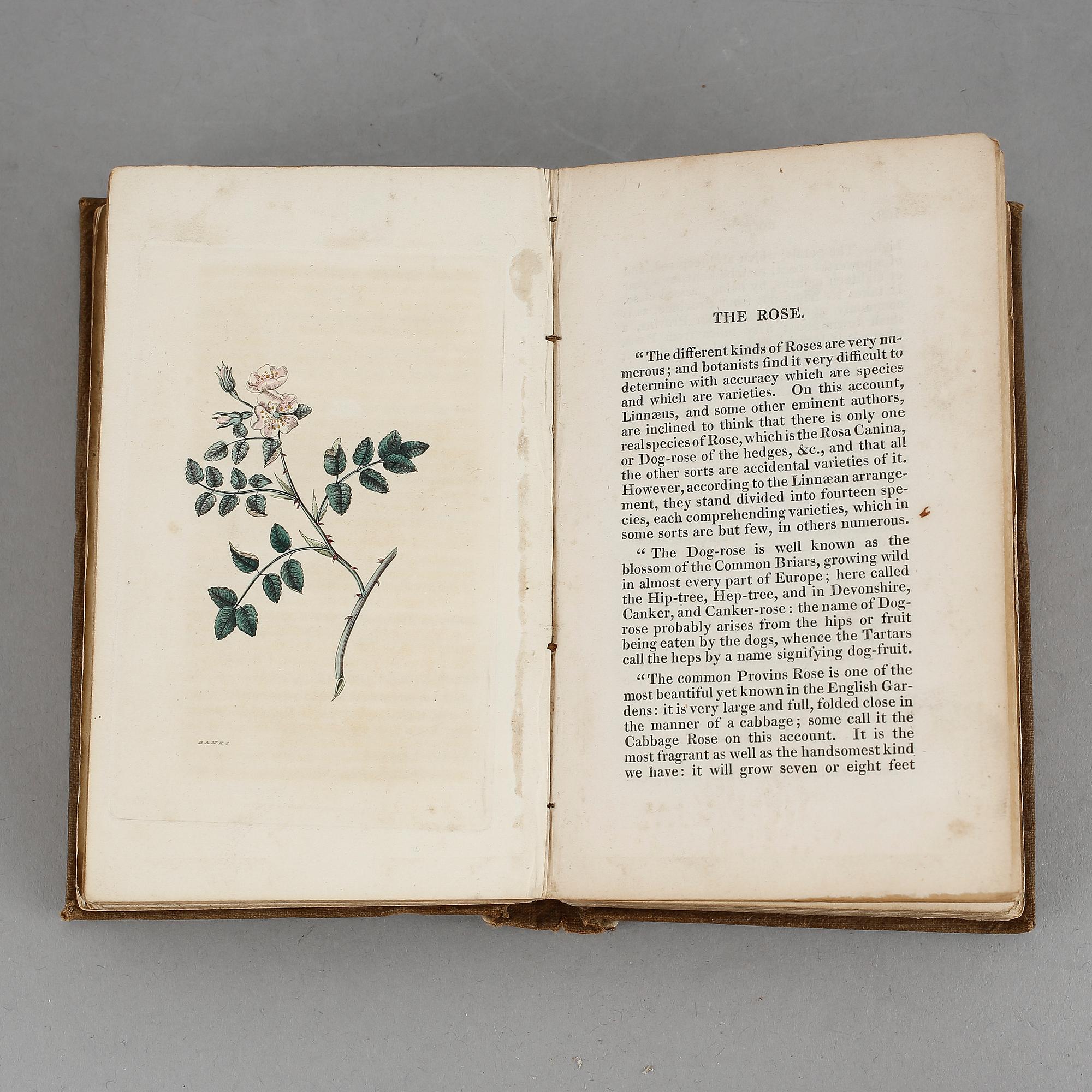 WILLCOCKS, Flora Poetica or Poetry on Flowers, London 1835.
