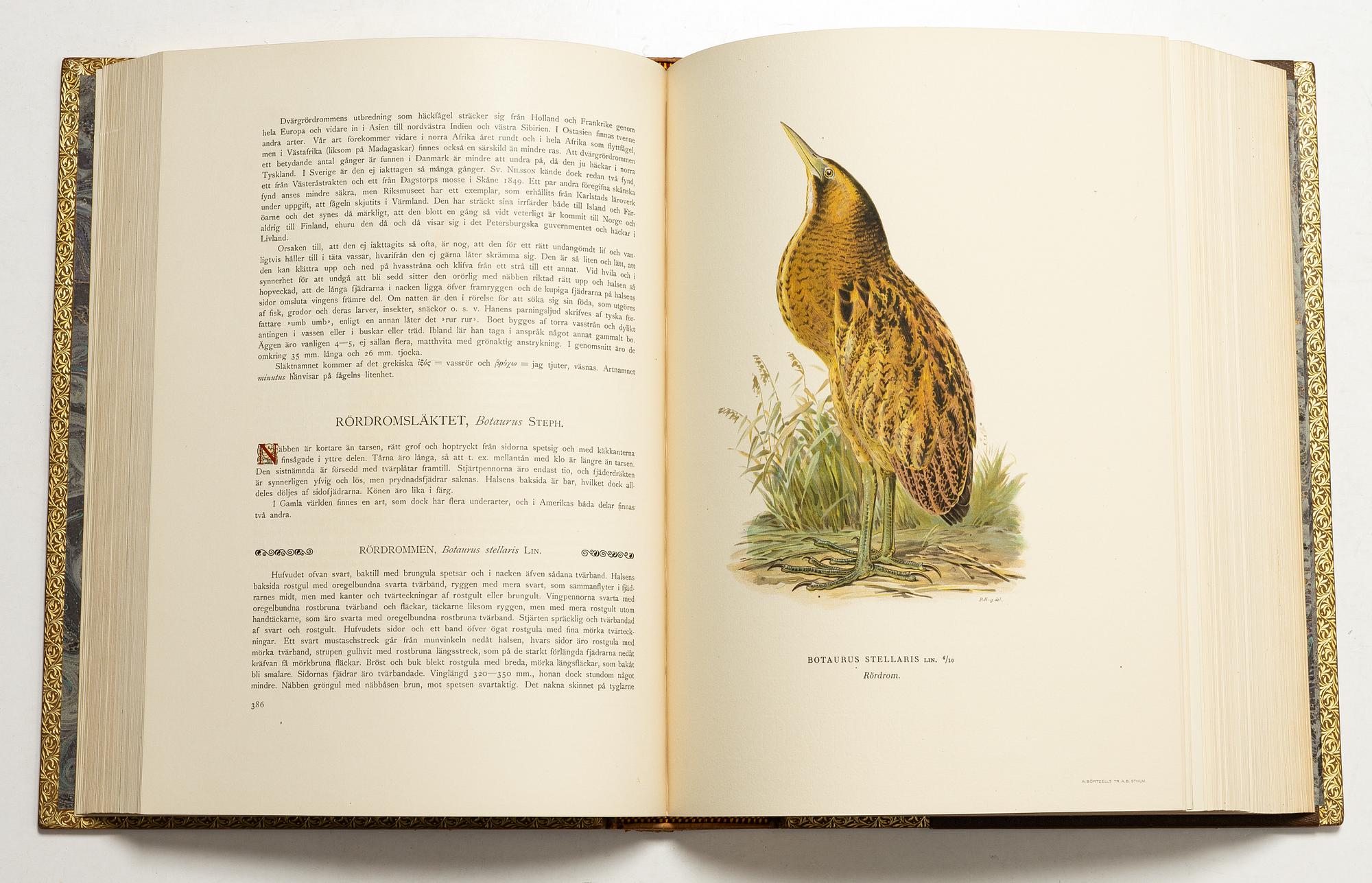 Bröderna von Wright, handkolorerade bibliofilupplagan av "Svenska fåglar", 3 band, Ivar Baarsen, Stockholm, 1925-29. Nummer 30/60.