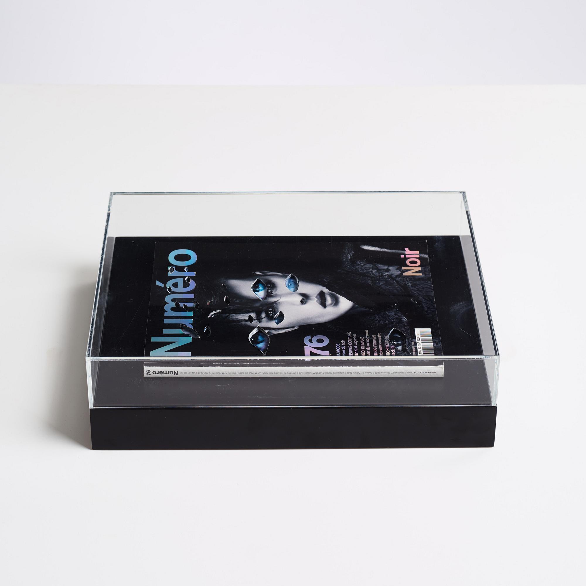 Anna Nordquist Andersson, "I see through you".