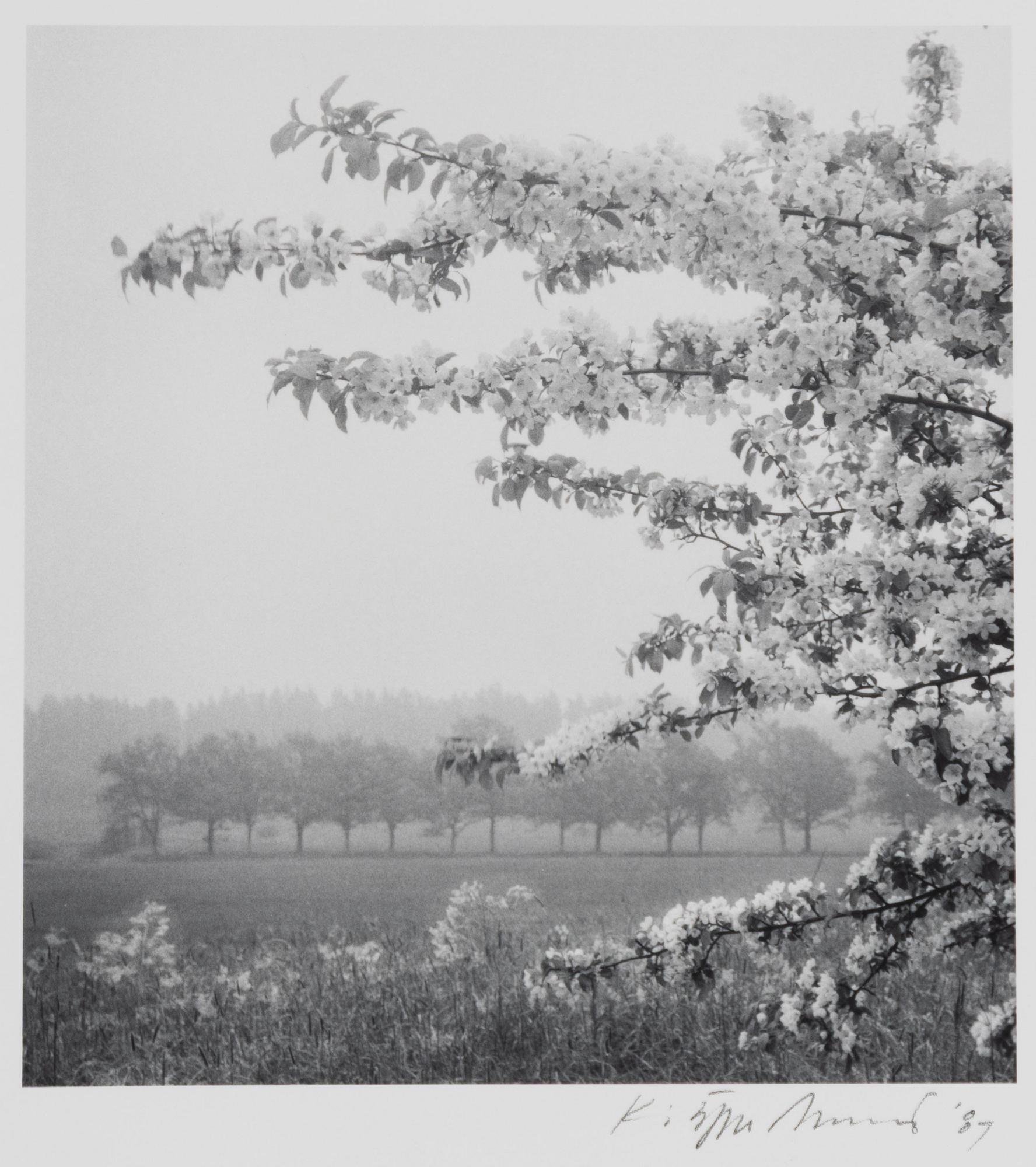 Kristoffer Albrecht, Untitled, 1989.