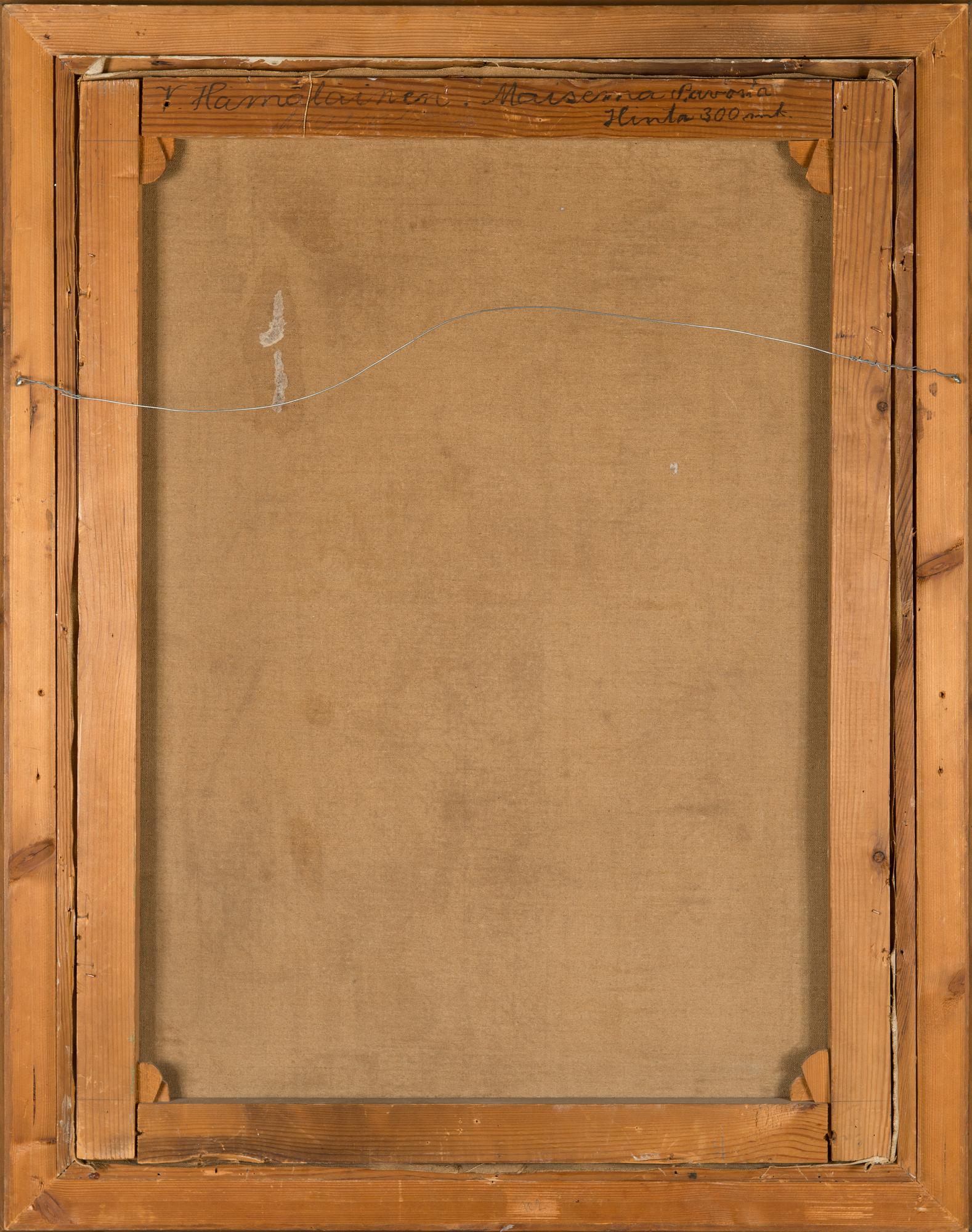 Väinö Hämäläinen, Vy från Savo.