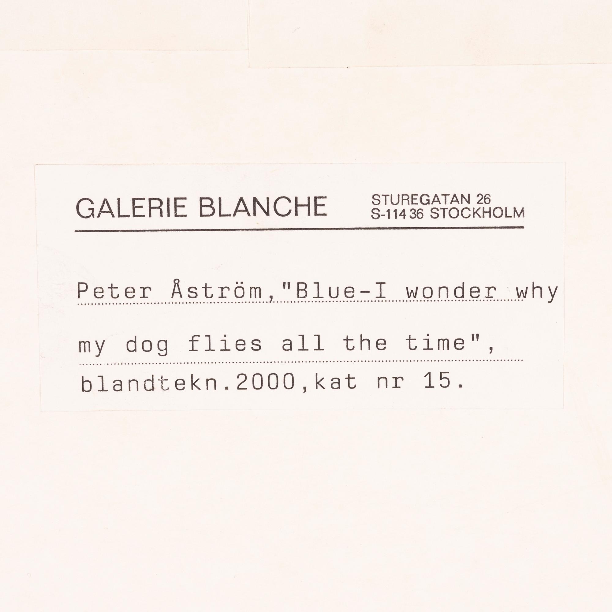 Peter Åström, " Blue- I wonder why my dog flies all the times".