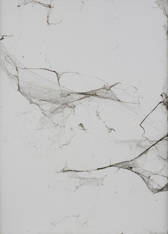 Untitled.