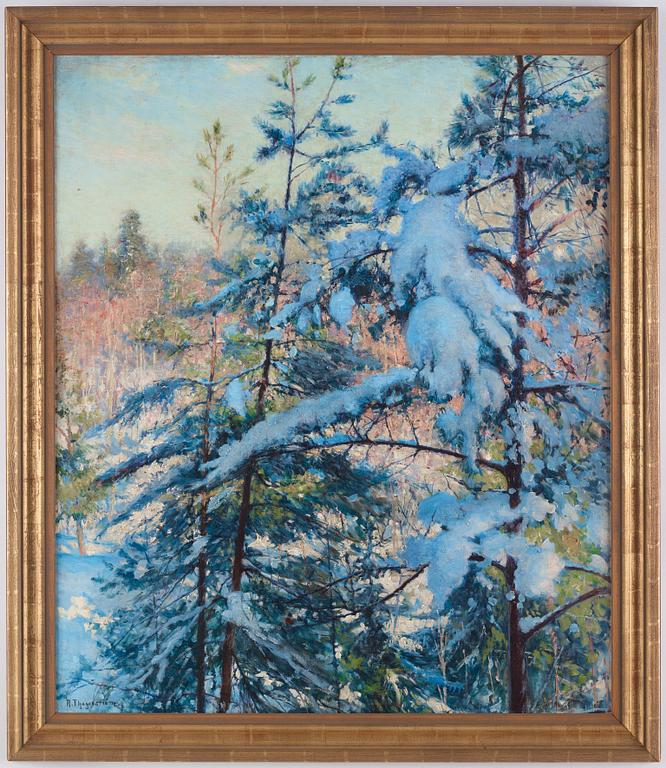 Robert Thegerström, Snow-laden pines.