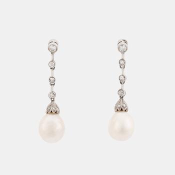 482. A pair of platinum and pearl earrings set with round brilliant- and eight-cut diamonds.