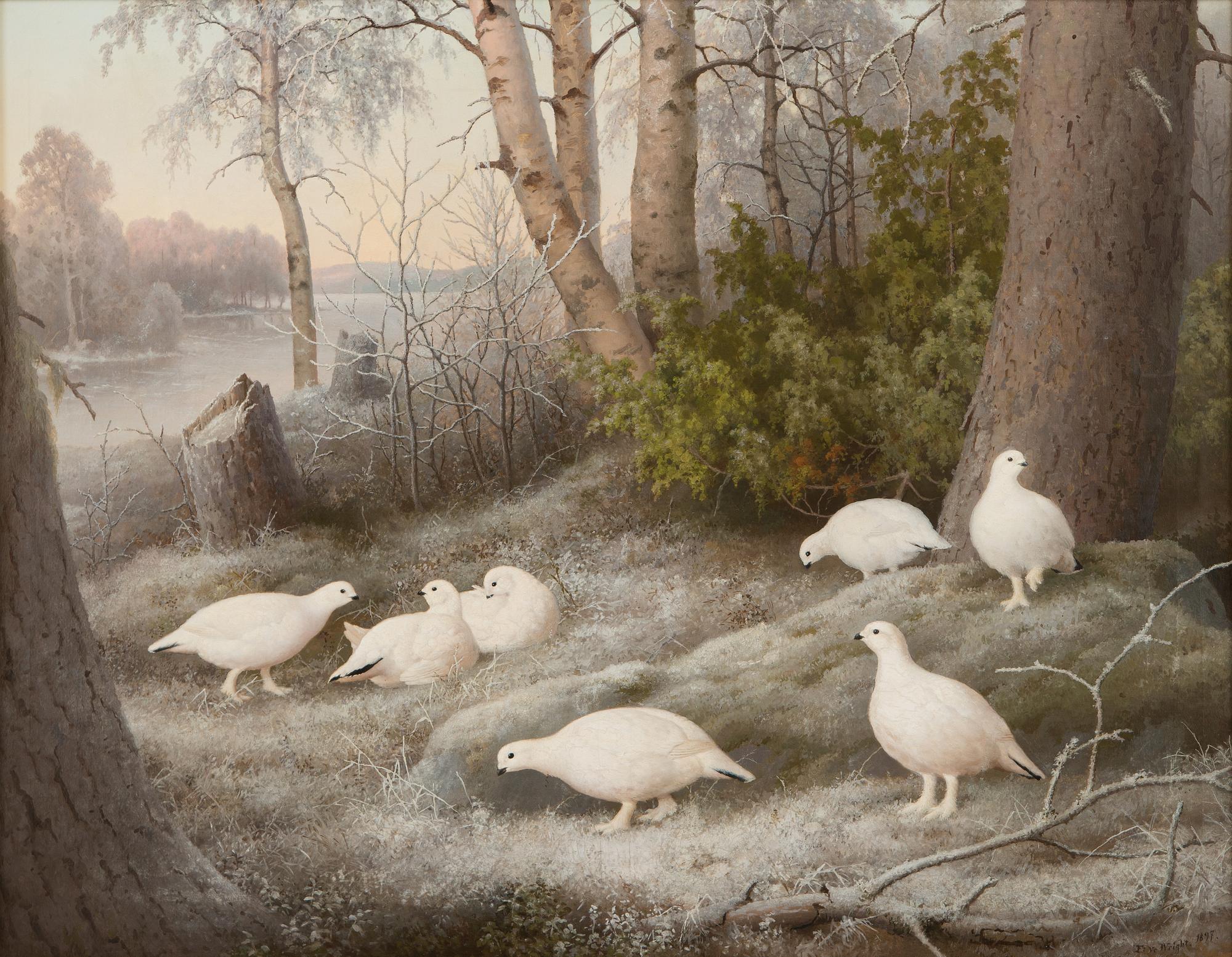 Ferdinand von Wright, Ptarmigans.