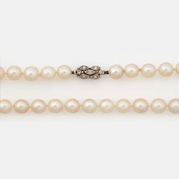 788. A cultured pearl necklace.