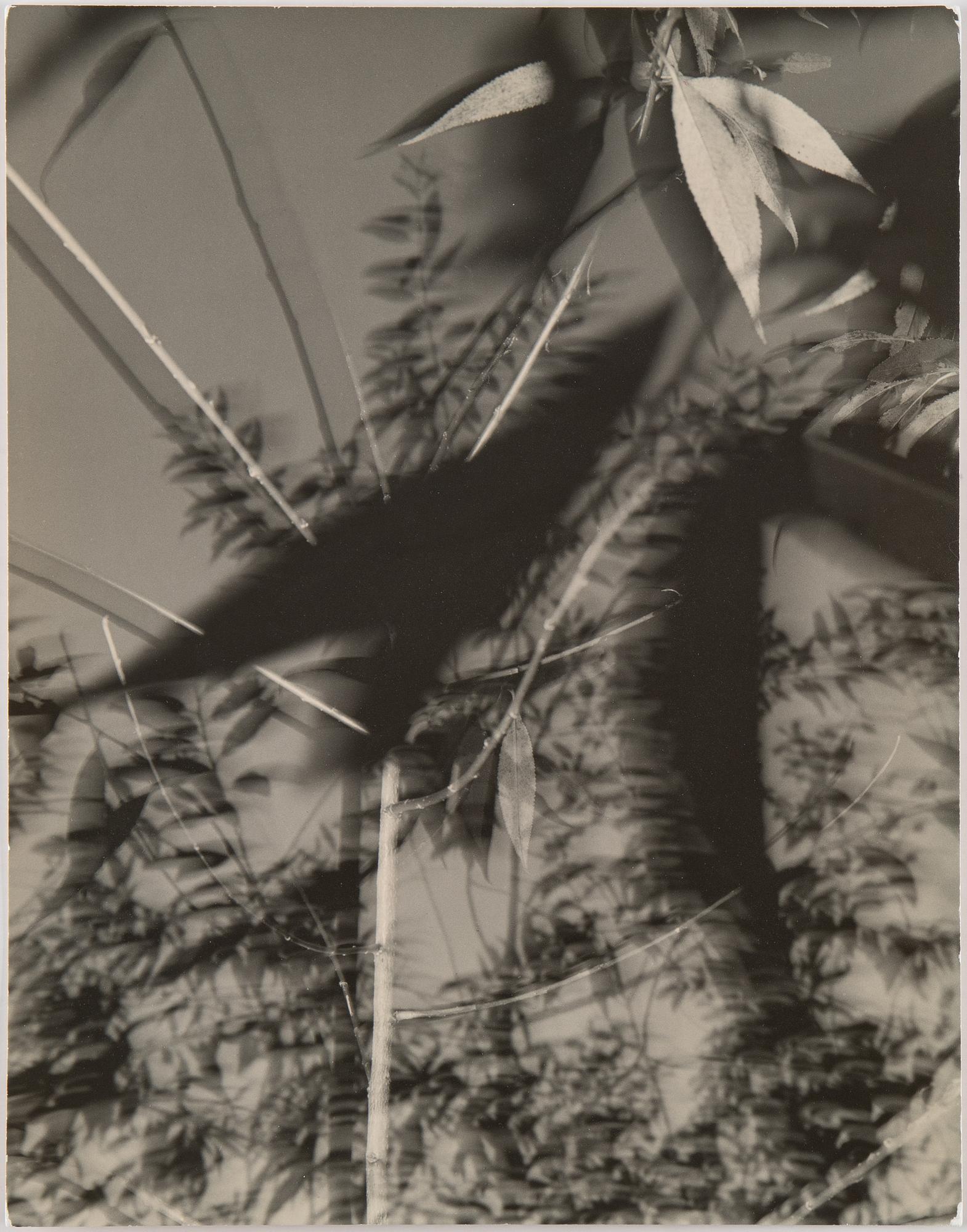 Åke E:son Lindman, Gelatin silver print, signed and dated 1989.
