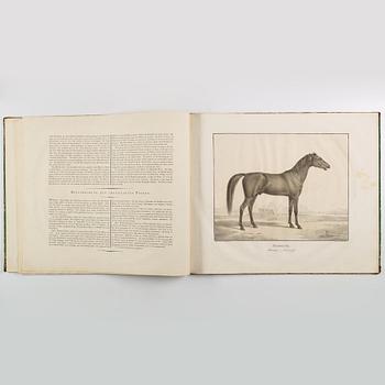 BOK: Rudolf Kuntz: Abbildungen Königlich Württembergischer Gestütts Pferde 
von orientalischen Racen. [1-3].
