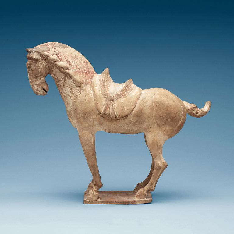 A pottery figure of a horze, Tang dynasty (618-907).