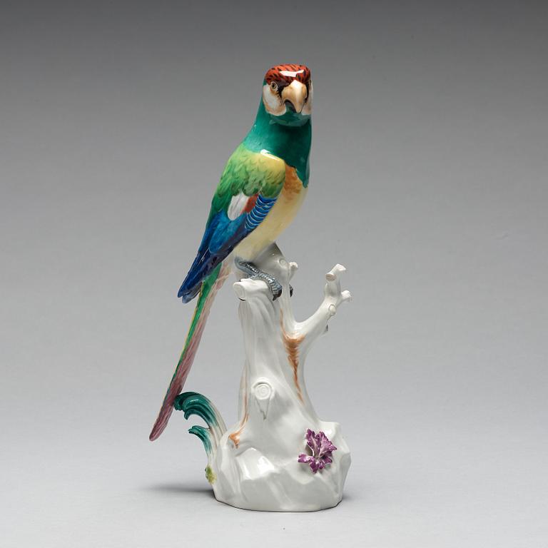 A Meissen figure of a parrot, circa 1900.