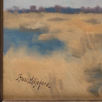 Bruno Liljefors, Swans.
