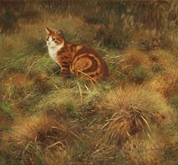 Thure Wallner, Summer landscape with cat.