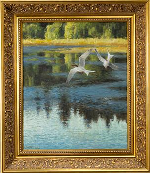 Thure Wallner, Tern bird.