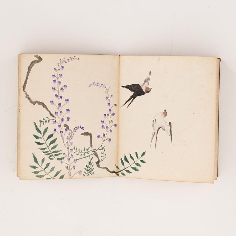 Bok, miniatyr, akvarell. Okänd konstnär, Japan, 1900.