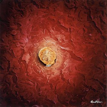 Lennart Nilsson, Impregnated human egg cell, 1990.