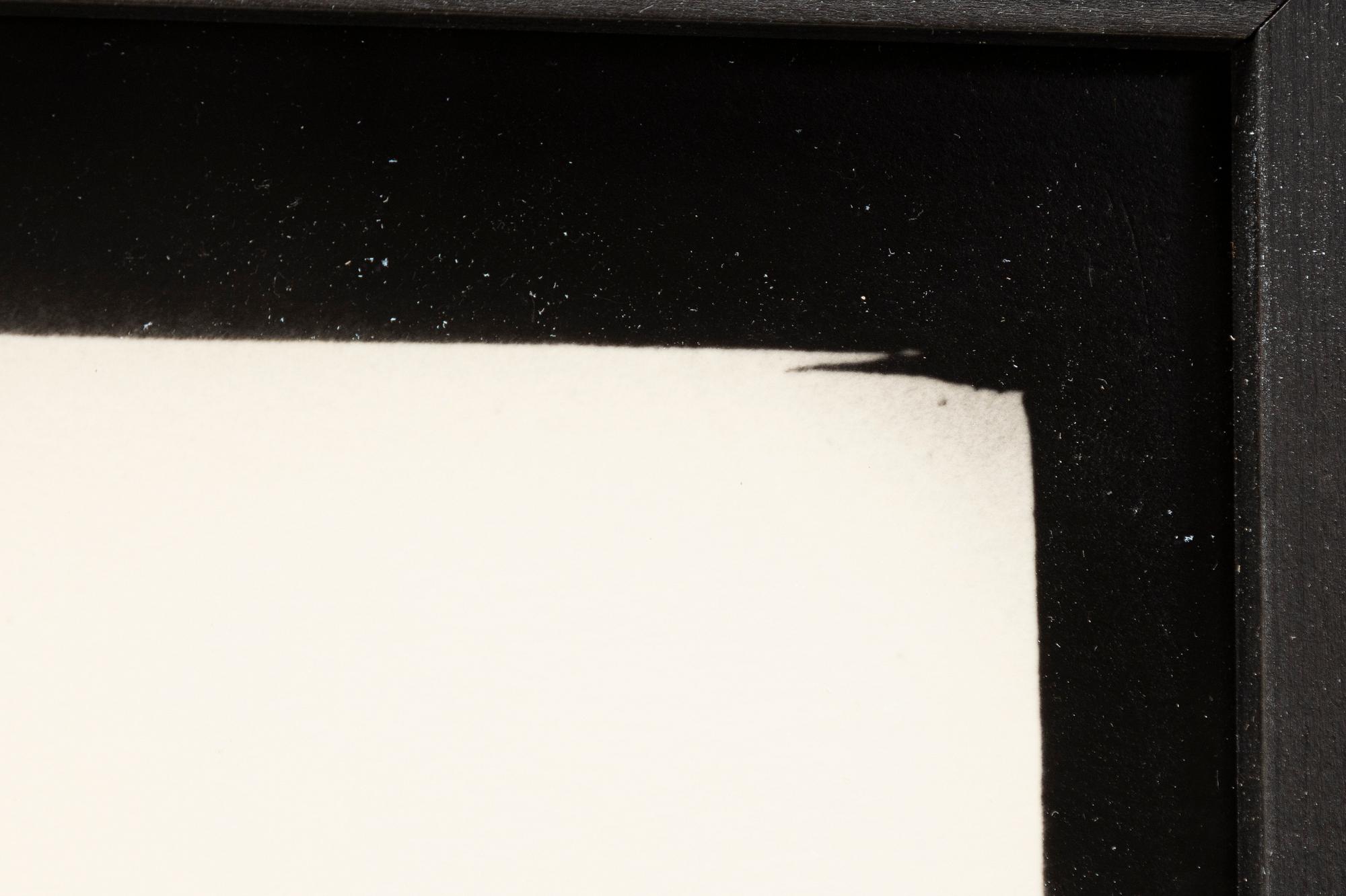 Denise Grünstein, "Blyertskameler", 1999.