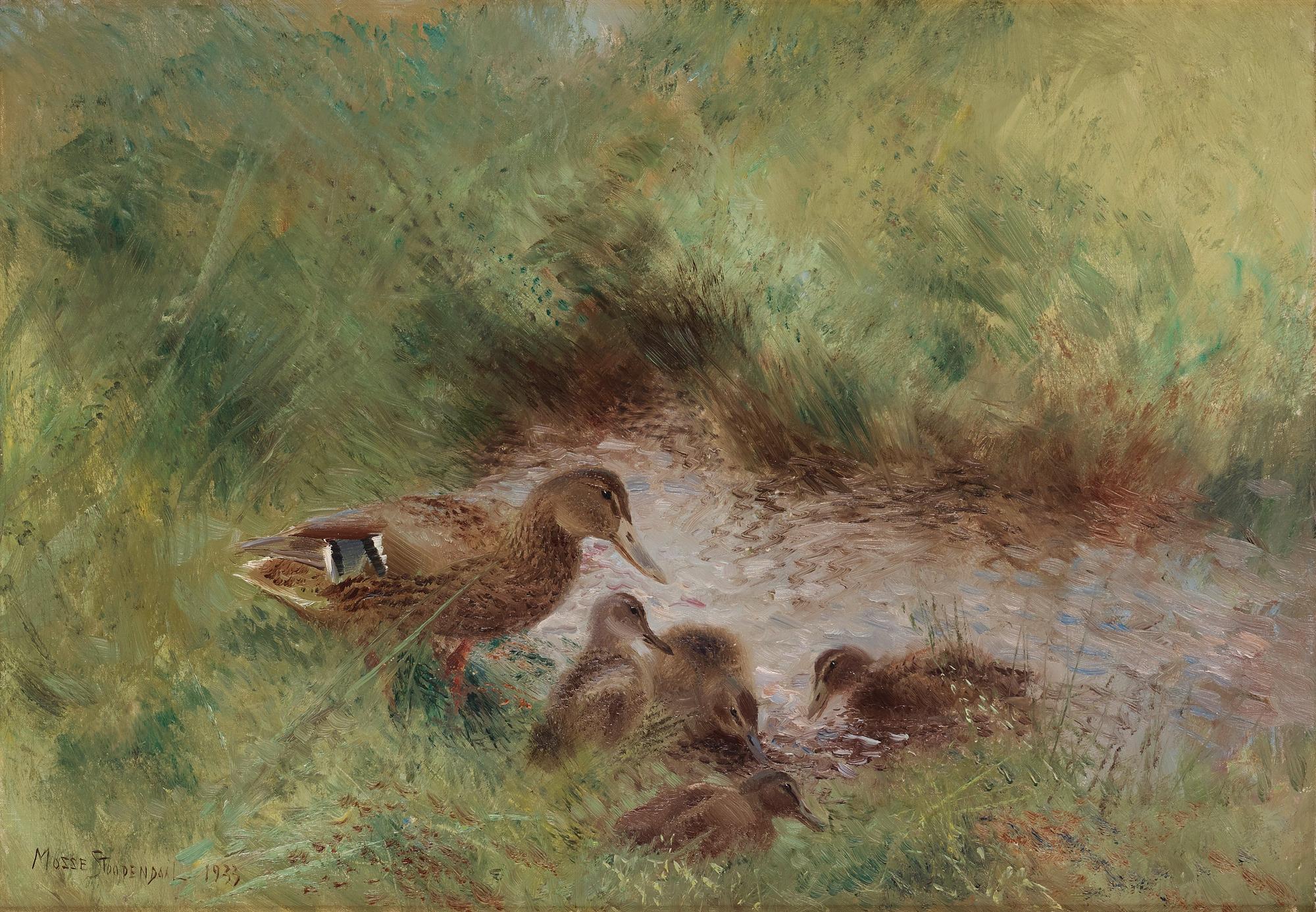 Mosse Stoopendaal, Mallard with ducklings.