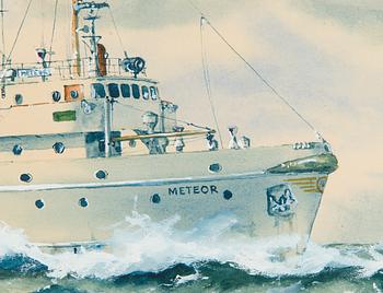 Håkan Sjöström, Meteor.