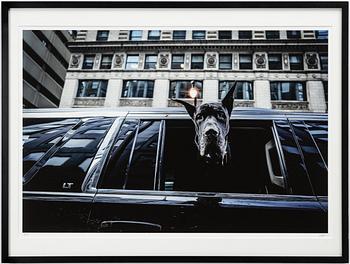 Mats Alfredsson, "Chicago", 2022.