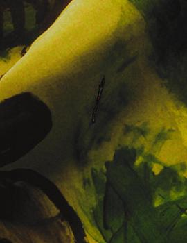 Cooper & Gorfer, "Knowing Vivienne", 2010.