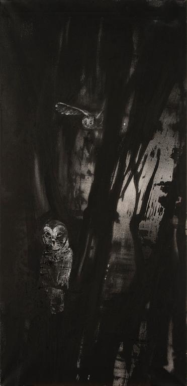 ANNE TOMPURI, "LANDSCAPE (OWLS)".