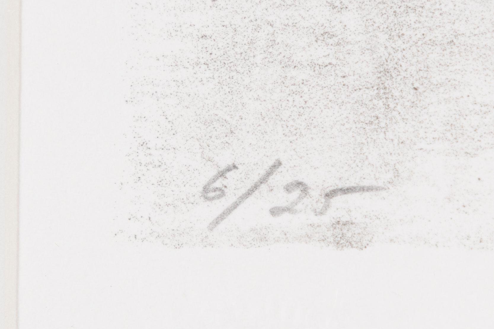 John-E Franzén, "Harley Chopper".