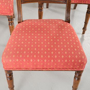 Six 19th century brittish regency chairs.