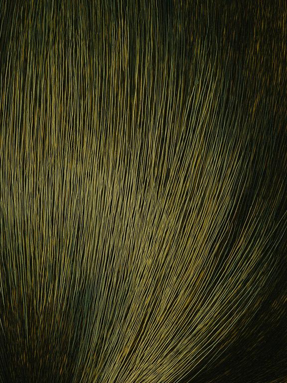 Kim Hyun-Sik, "Hair".