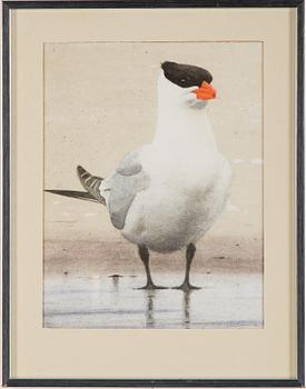 LARS JONSSON, a lithograph, signed and numbered 44/200.