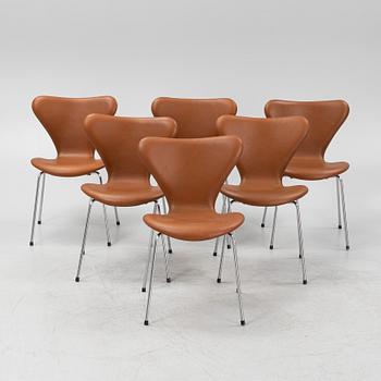 Arne Jacobsen, stolar, 6 st, "sjuan", Fritz Hansen, Danmark, sent 1900-tal.